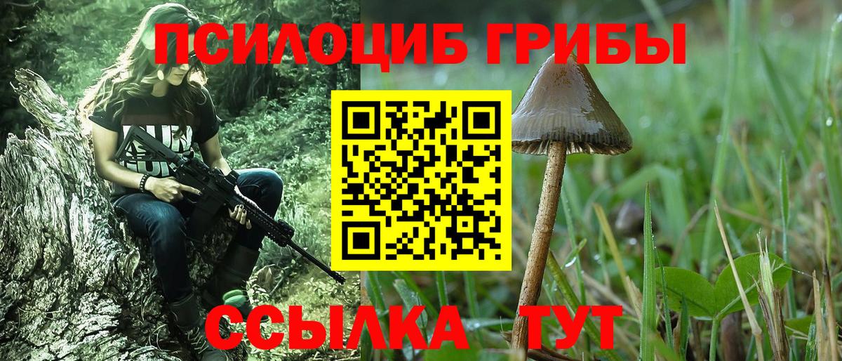Псилоцибиновые грибы Magic Shrooms Ликино-Дулёво