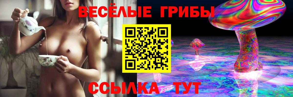 Галлюциногенные грибы прущие грибы  Псилоцибиновые грибы Magic Shrooms  Вход с VPN  Ликино-Дулёво 